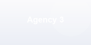 Agency 3 (placeholder)